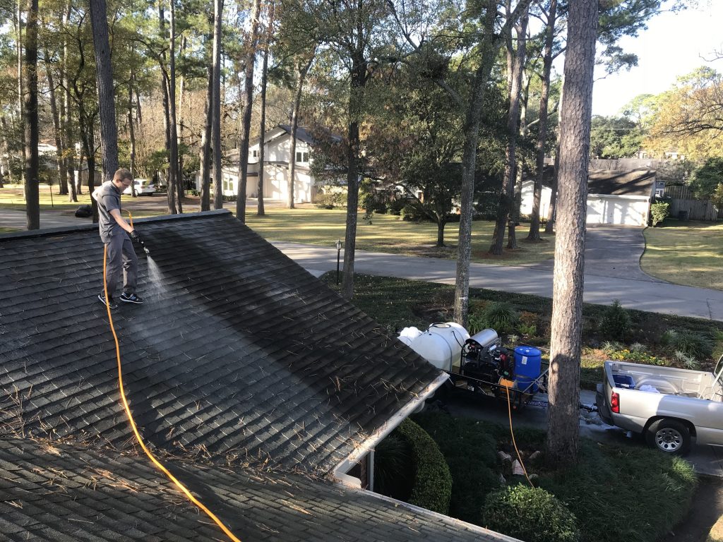 Does Your Roof Need Cleaning This Year?