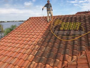 roof-cleaning