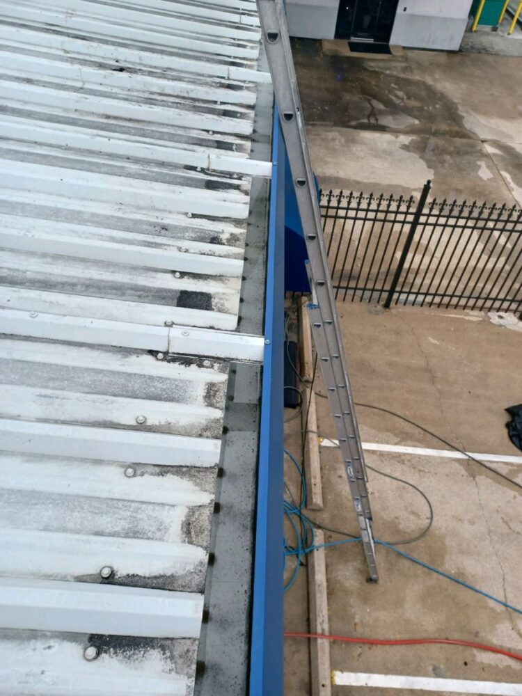 gutter cleaning