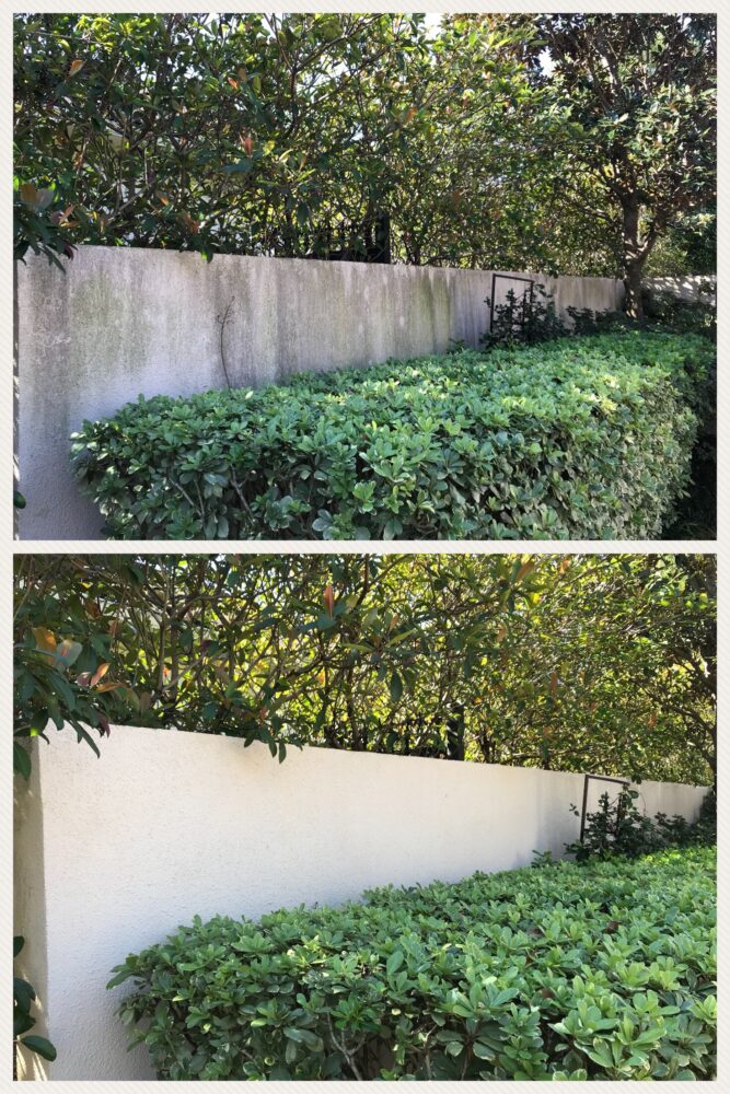 fence cleaning fence cleaning