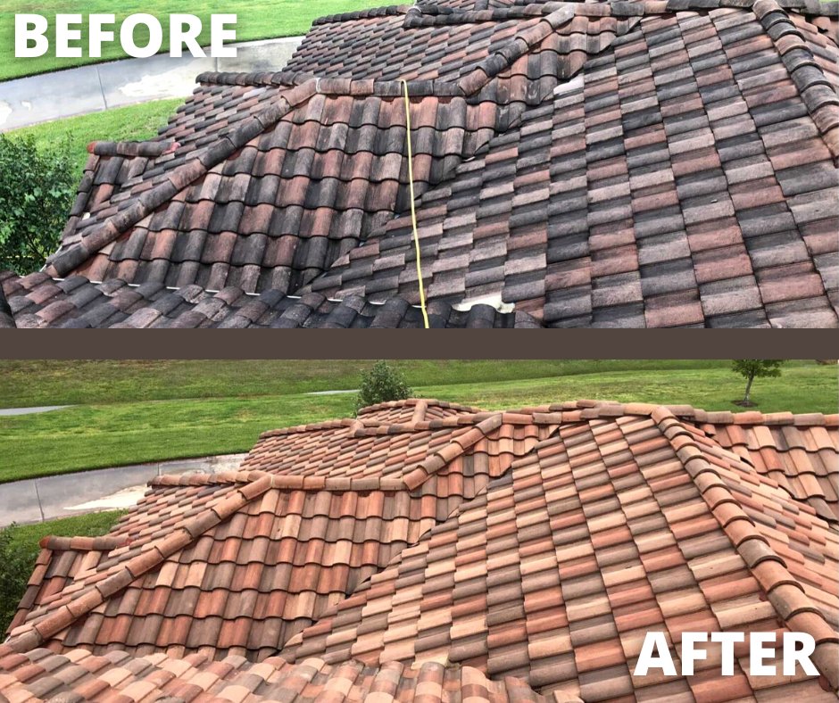 roof roof