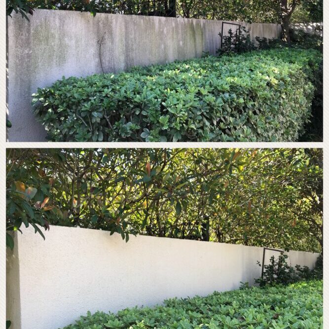 fence cleaning